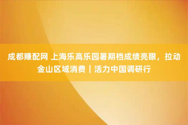 成都赚配网 上海乐高乐园暑期档成绩亮眼，拉动金山区域消费｜活力中国调研行