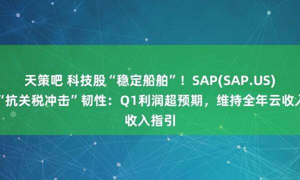天策吧 科技股“稳定船舶”！SAP(SAP.US)彰显“抗关税冲击”韧性：Q1利润超预期，维持全年云收入指引
