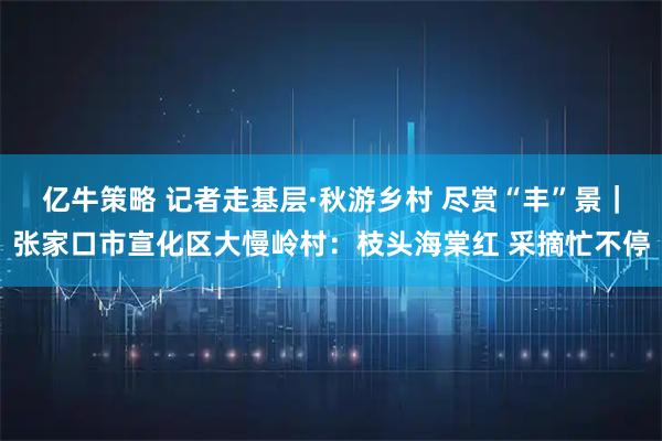 亿牛策略 记者走基层·秋游乡村 尽赏“丰”景｜张家口市宣化区大慢岭村：枝头海棠红 采摘忙不停